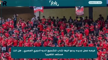 فرصة عمل جديدة يدعو إليها شاب لتشجيع أندية الدوري المصري.. هل أنت مستعد للتغيير؟